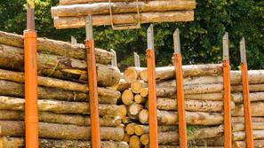 Novice: Na vidiku nova kriza - razno 13.12.12. hlodi, lesna industrija, zaga, drva, gozdarji, nakladalnik lesa,