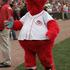 Gapper (Cincinnati Reds)