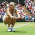 Lisicki Wimbledon tenis OP Anglije grand slam