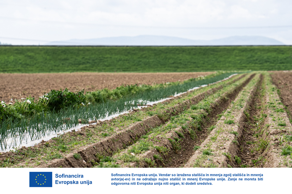 prehranska samozadostnost njiva