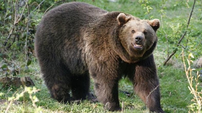 Slika je simbolična. (Foto: BOBO)