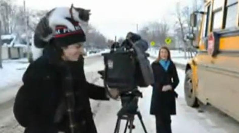 maček poročila snemalec CBC