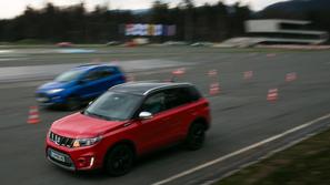 Veliki primerjalni test križancev