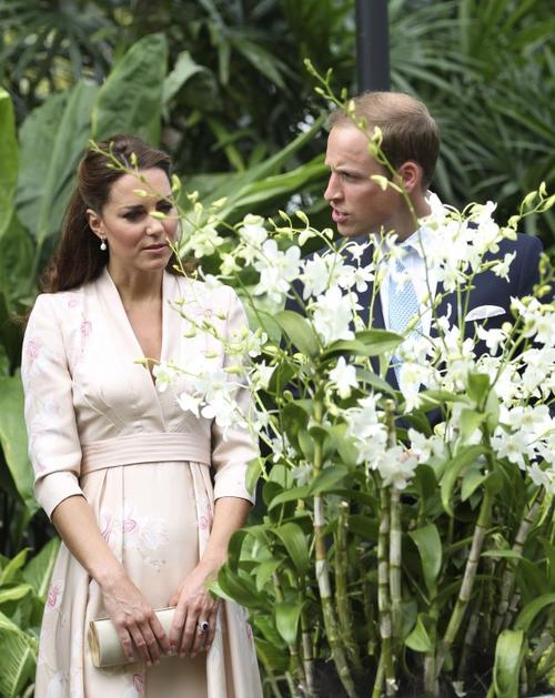 princ William, Kate Middleton
