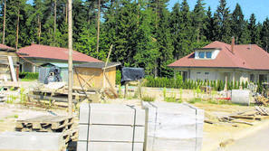 Zbiljski gaj (Foto: Bobo)