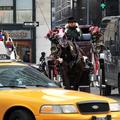 Konjska vprega v New Yorku