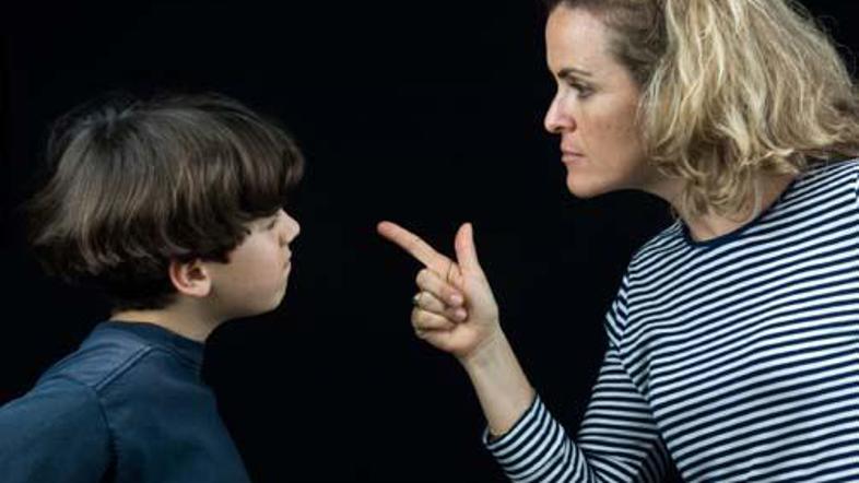 Koalicijski in opozicijski poslanci si niso bili enotni niti pri členu družinske