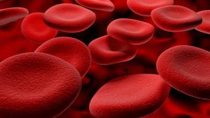 Krvne celice v veni