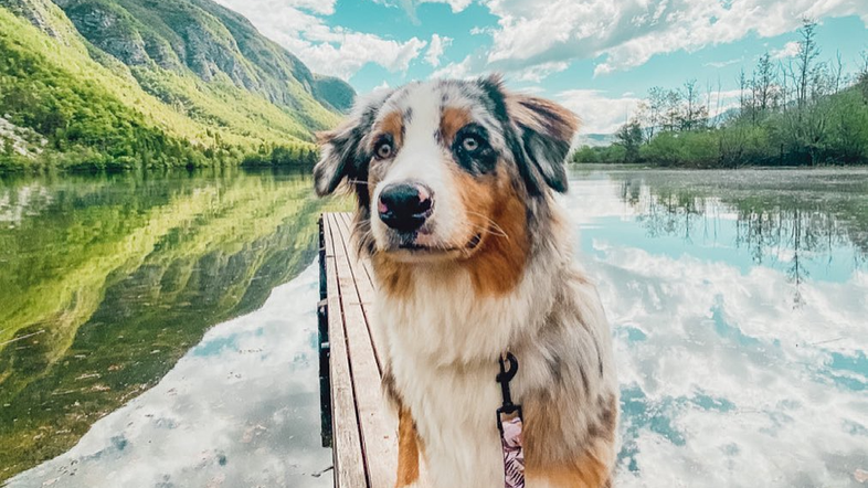 Murf pasja influencerka