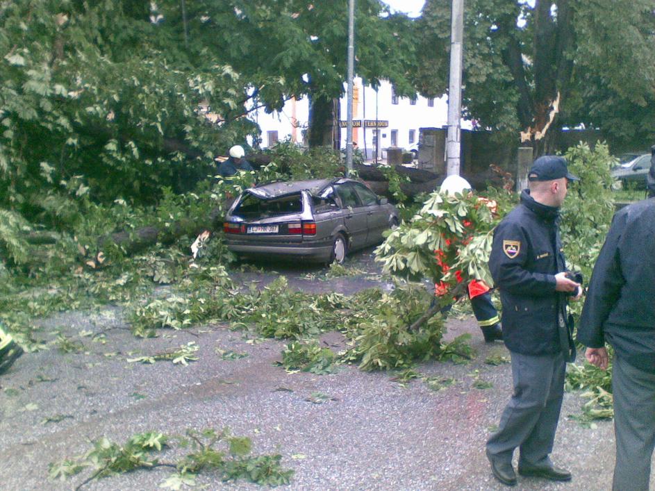 Logatec, neurje, porušeno drevo, avtomobil, 06. 07. 2010
