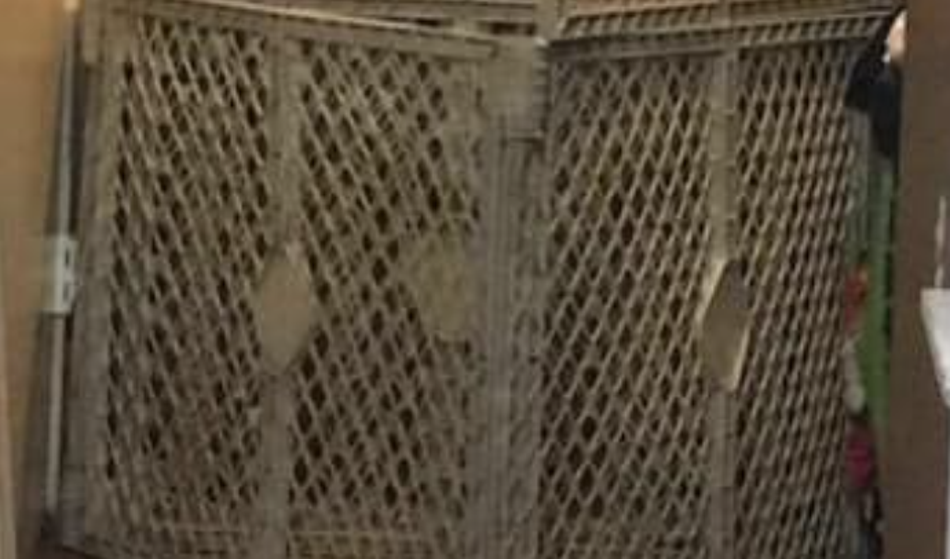 Policija rešila močna podhranjena otroka iz mučilnih kletk