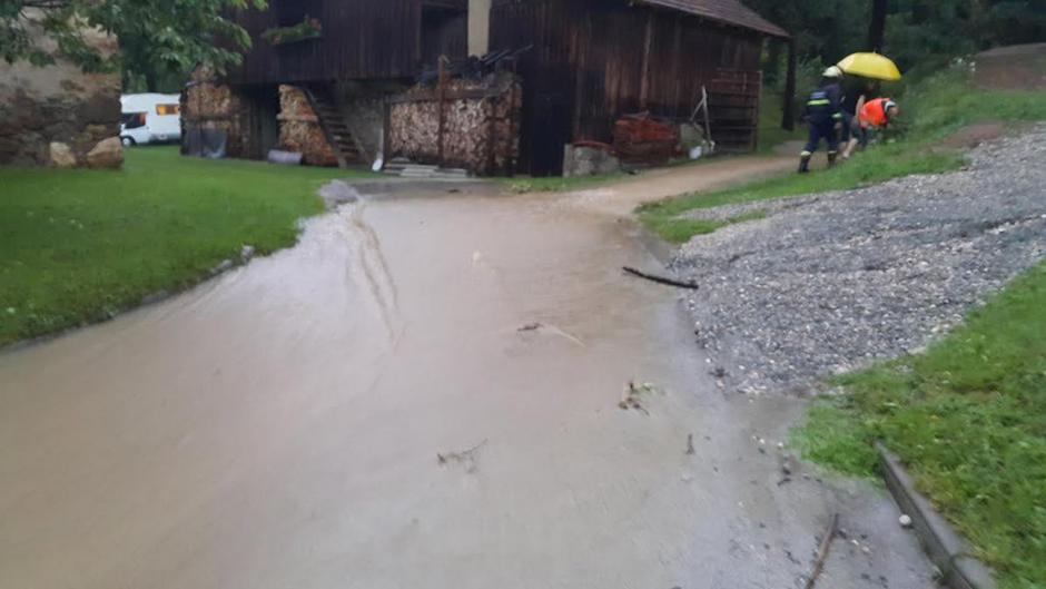 Posledice neurja Radlje ob Dravi | Avtor: Primož Ternik