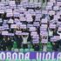 (Olimpija - Maribor) pokal viole navijači  polfinale stožice