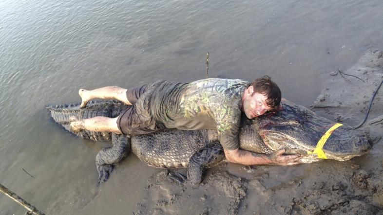 Ulovljen aligator
