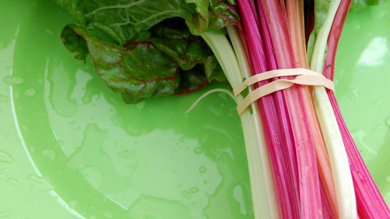 Rabarbara za boljšo prebavo. (Foto: Shutterstock)