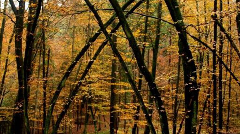 V Ultime Realite ponujajo tudi lov na "najbolj nevarno in inteligentno žival –  