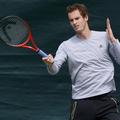 andy murray