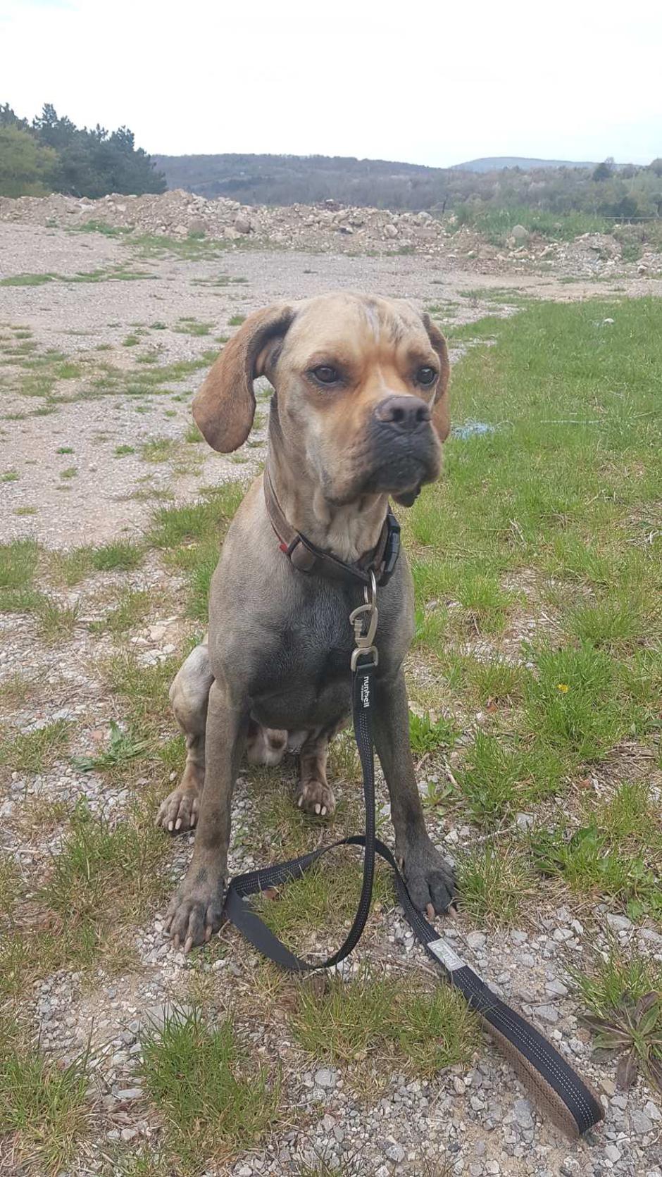 KD Obala | Avtor: KD Obala