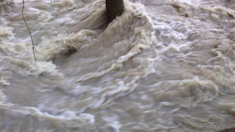 Reka Sava, deroča reka, Črnuče, poplave