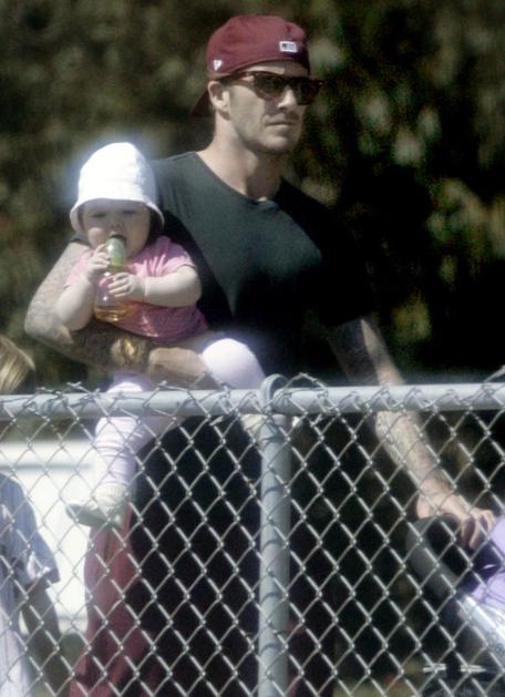 David Beckham, Harper Seven