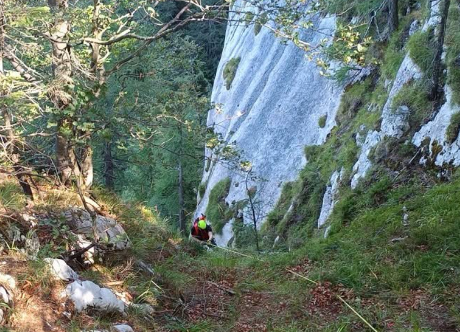 iskalna akcija