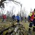 Žurnalova delovna brigada čiščenje gozda Snežnik