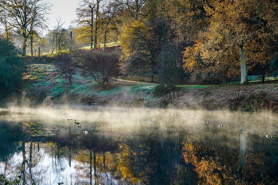 Slana | Avtor: Profimedia