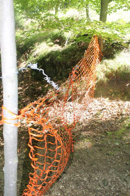 žica mreža gozd