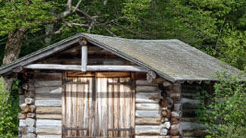 Mladenič je živel v leseni baraki, brez osnovnih življenjskih pogojev (simbolna 