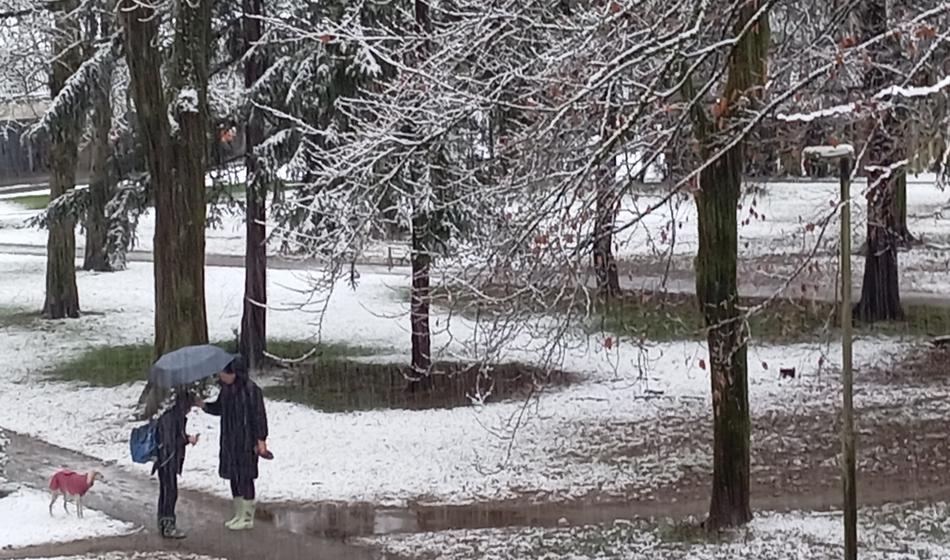 Sveža vremenska napoved: padavine že v torek?