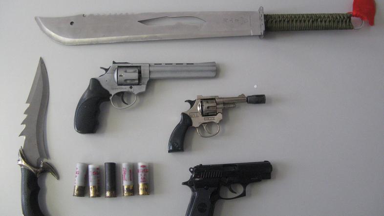 Del orožja in streliva, ki so ga novomeški policisti prejšnji teden zasegli v hi