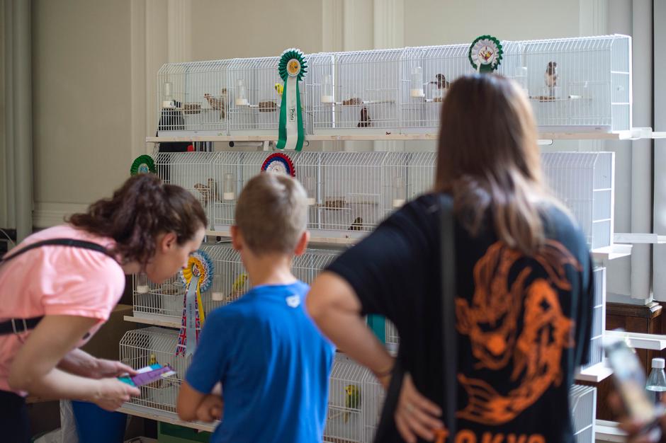 Festival za ljubitelje živali 2023 | Avtor: Anže Petkovšek