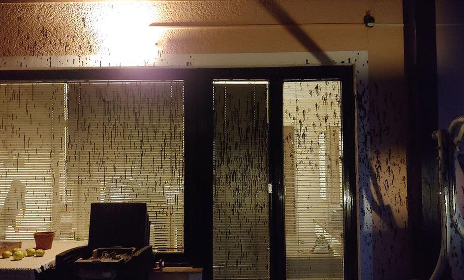 Vandalizem, umazana fasada