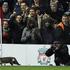 mačka Anfiled Liverpool