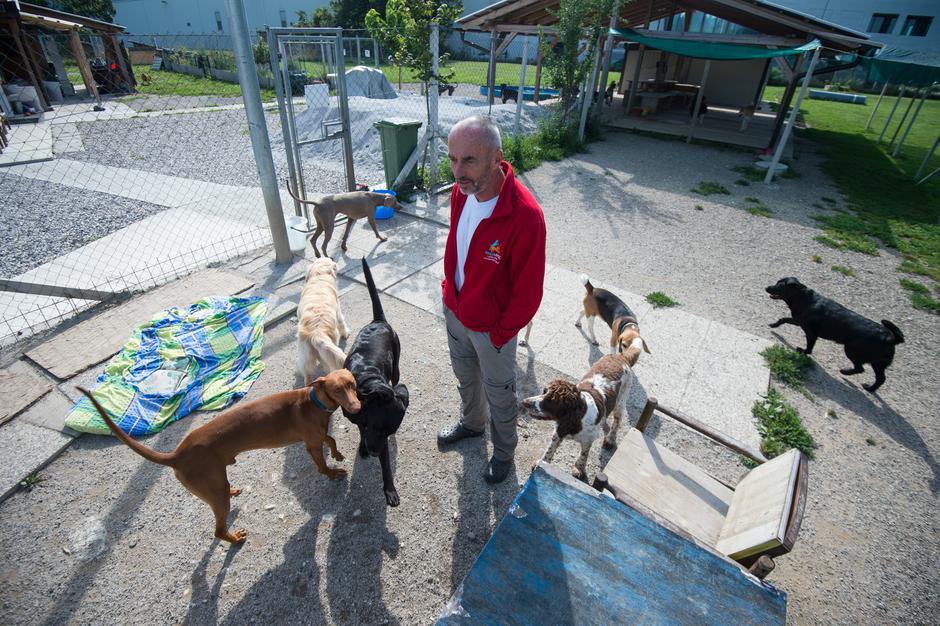 Pasji vrtec in hotel | Avtor: Anže Petkovšek