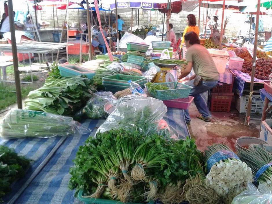 zelenjava | Avtor: Klavdija Šušnjara