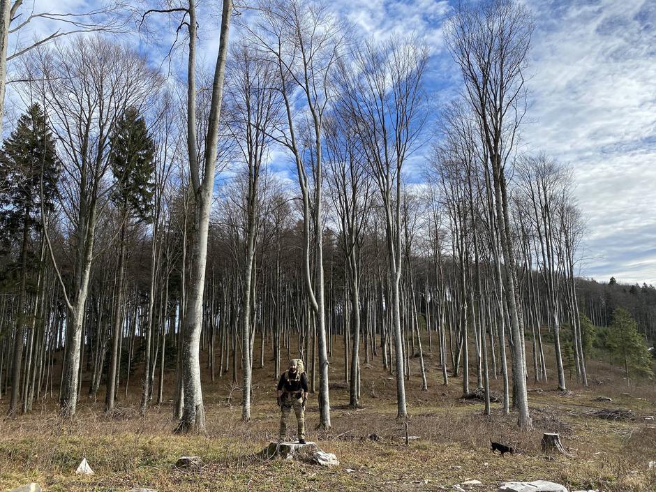 Bazo.si | Avtor: Bazo.si