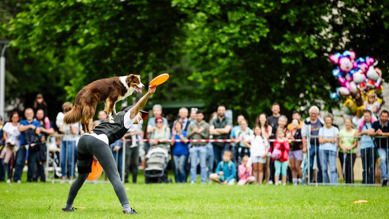 festival za ljubitelje živali