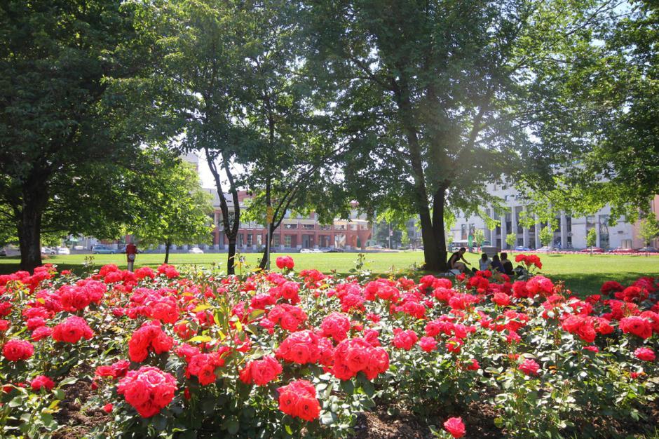 Nova Gorica | Avtor: Zavod za turizem Nova Gorica in Vipavska dolina