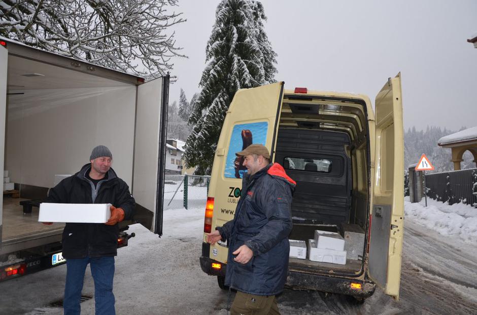 nlb vita zoo | Avtor: Žurnal24 main