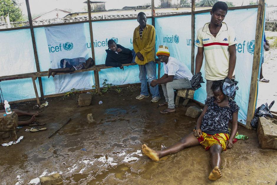 Ebola  | Avtor: EPA