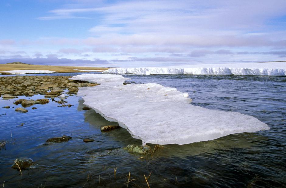led taljenje otoplitev tundra | Avtor: Profimedia