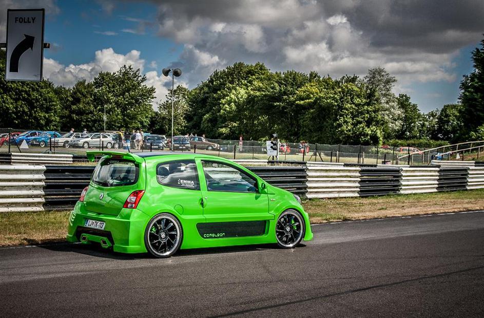 Twingo cameleon