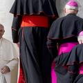Papež Frančišek  in kardinali
