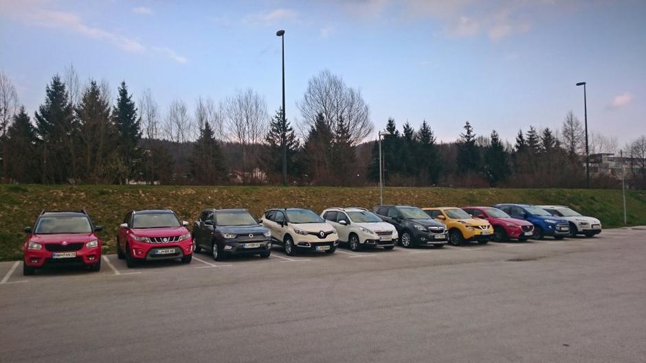 Test križancev | Avtor: zurnal24.si