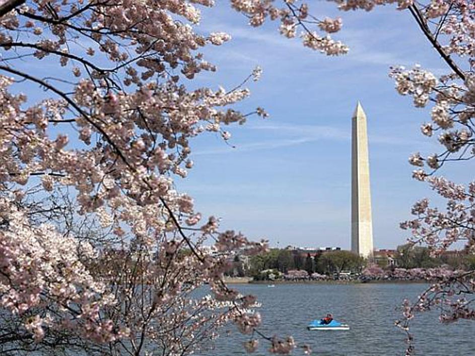 Obisk Washingtona je boljši kot listanje učbenika ameriške zgodovine.