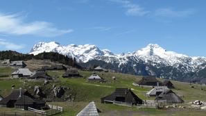 POMLAD VELIKA PLANINA