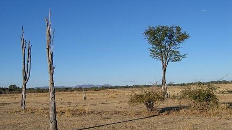 Narodni park South Luangwa, Zambija