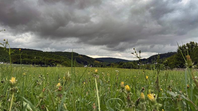 zelen travnik oblačno nebo oblaki
