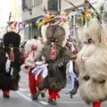 Kurenti slavijo 50. let svojega karnevala. (Foto: Gregor Katič)